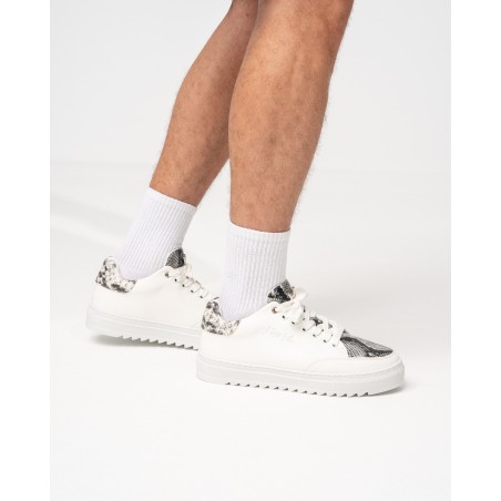 Heren Lage Sneakers met Slangenprint Designer Schoenen in Wit | Martin Valen