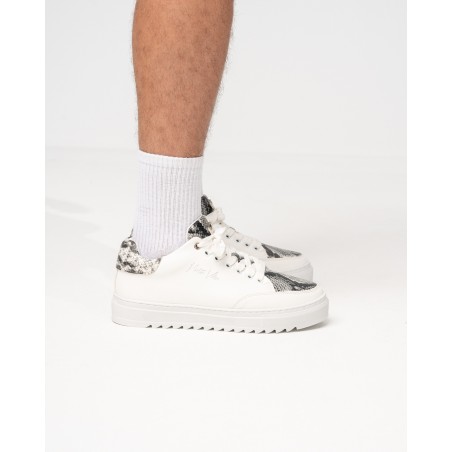 Heren Lage Sneakers met Slangenprint Designer Schoenen in Wit | Martin Valen